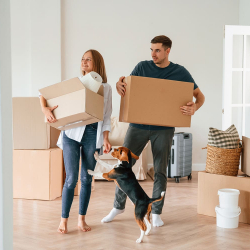 Переезды с животными - elanatrans.ru – Екатеринбург